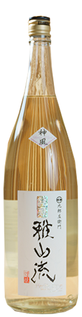超・裏雅山流